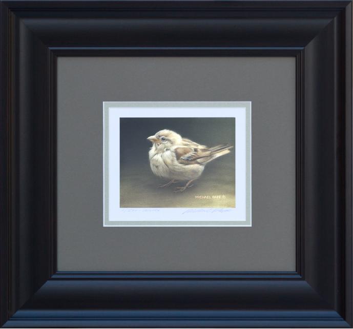 Female House Sparrow, original acrylic on masonite wildlife painting is sold.  Limited edition giclée wildlife print on paper is available by Canadian wildlife artist Michael Pape.