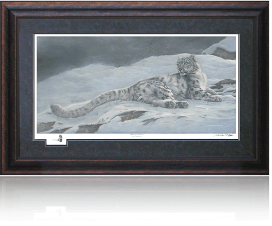 Michael Pape Ghost of a Chance Snow Leopard