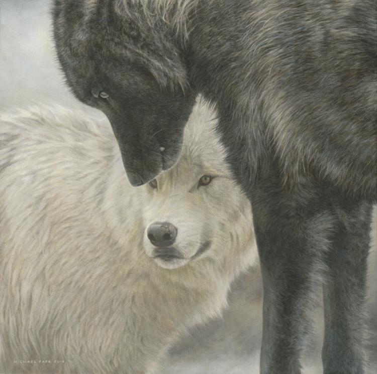 Strength & Wisdom - Grey Wolves, original wildlife painting is avaialble.  Limited edition giclée wildlife prints on paper & canvas in two sizes are available by Canadian wildlife artist Michael Pape.