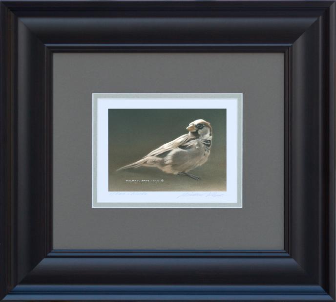 Male House Sparrow, original acrylic on masonite wildlife painting is sold.  Limited edition giclée wildlife print on paper is available by Canadian wildlife artist Michael Pape.