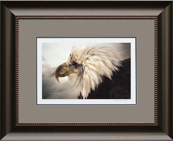 Immature Bald Eagle, Framed Giclée Paper by Canadian Wildlife Artist Michael Pape