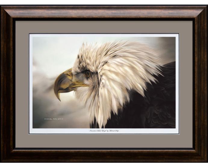 Immature Bald Eagle, Framed Giclée Large Water Colour Paper by Canadian Wildlife Artist Michael Pape