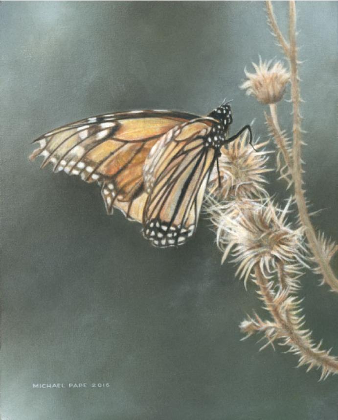Monarch & Milkweed original acrylic wildlife painting on canvas is sold. Limited edition giclée wildlife prints on paper are available by Canadian wildlife artist Michael Pape.