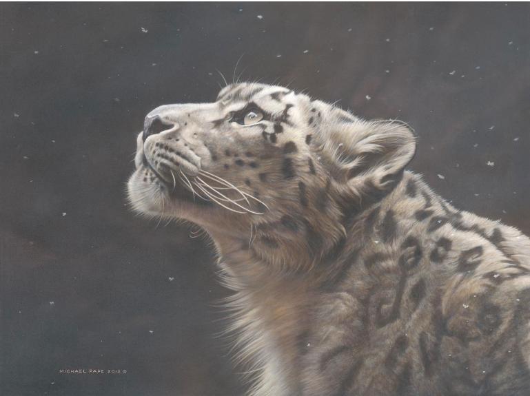 Silence Speaks – Snow Leopard, original acrylic painting on canvas is sold. Limited edition giclée wildlife prints are available in three sizes on paper & canvas by Canadian wildlife artist Michael Pape. 