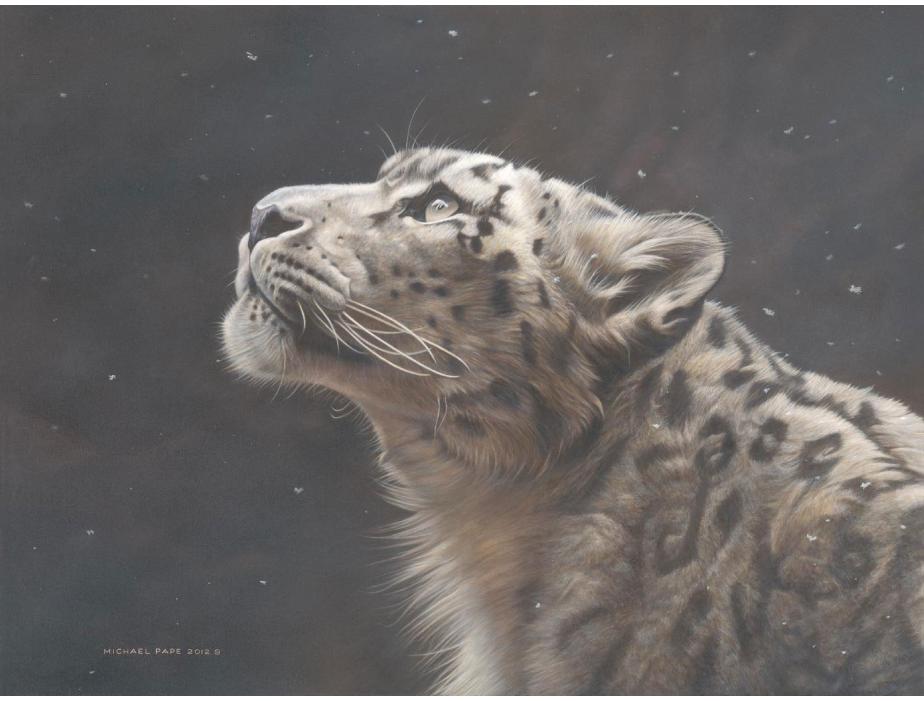 Silence Speaks – Snow Leopard, original acrylic painting on canvas is sold. Limited edition giclée wildlife prints are available in three sizes on paper & canvas by Canadian wildlife artist Michael Pape. 