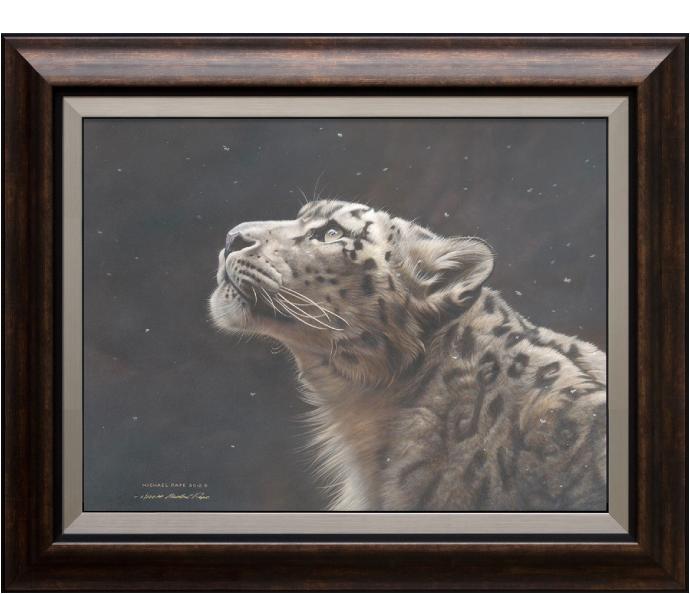 Silence Speaks – Snow Leopard, framed limited edition giclée wildlife prints on canvas are available by Canadian wildlife artist Michael Pape. 