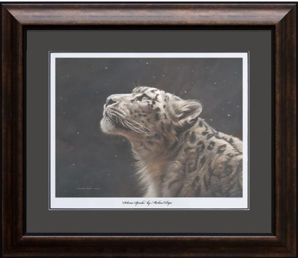 Silence Speaks – Snow Leopard, framed limited edition giclée wildlife prints are available in three sizes on water colour paper by Canadian wildlife artist Michael Pape. 