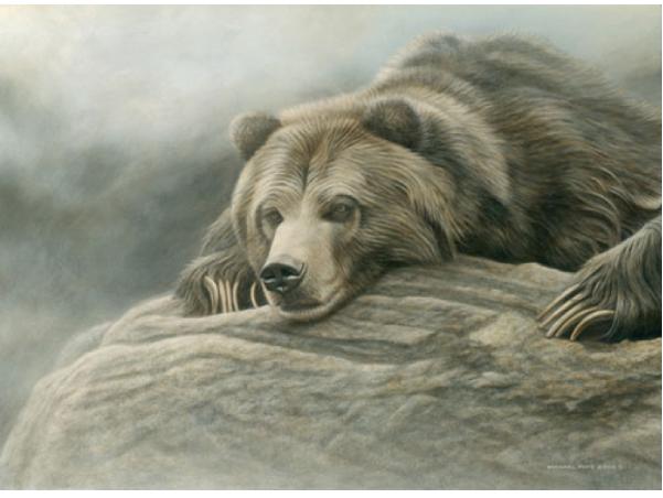 Silent Plea - Grizzly, limited edition giclée wildlife prints are available on paper & canvas in two different sizes. They are for sale by Canadian wildlife artist Michael Pape.