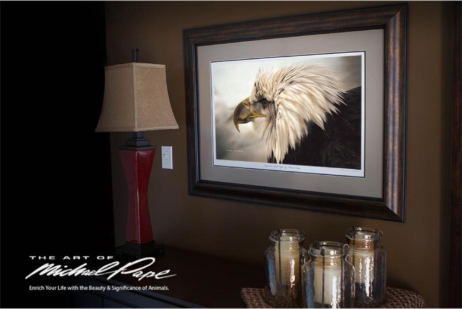 © Immature Bald Eagle by Canadian Wildlife Artist Michael Pape, Large Framed Giclée on Watercolour Paper with Non Glare Glass, Image Size -19" x 31". 