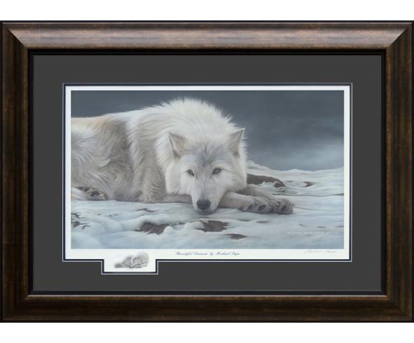 Beautiful Dreamer - Arctic Wolf, limited edition giclée wildlife prints on water colour paper are available by Canadian wildlife artist Michael Pape.
