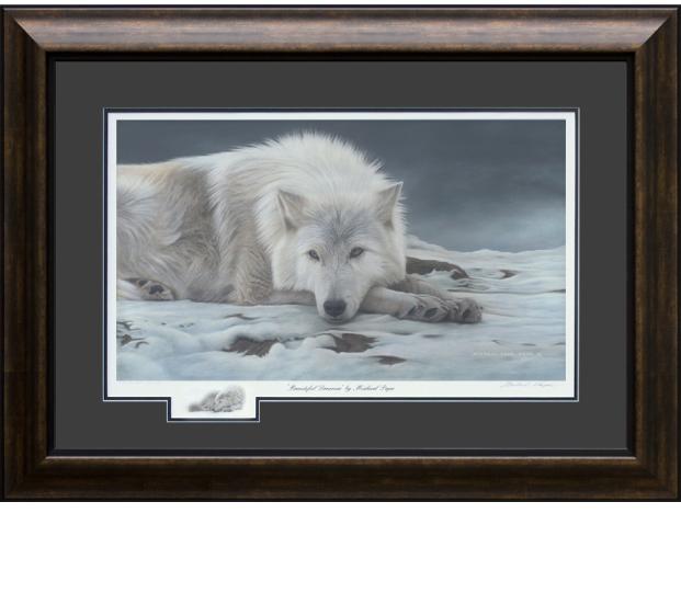 Beautiful Dreamer - Arctic Wolf, limited edition giclée wildlife prints on water colour paper are available by Canadian wildlife artist Michael Pape.