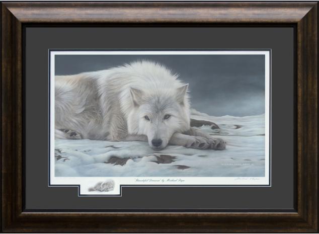 Beautiful Dreamer - Arctic Wolf, limited edition giclée wildlife prints on water colour paper are available by Canadian wildlife artist Michael Pape.