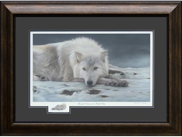 Beautiful Dreamer - Arctic Wolf, limited edition giclée wildlife prints on water colour paper are available by Canadian wildlife artist Michael Pape.