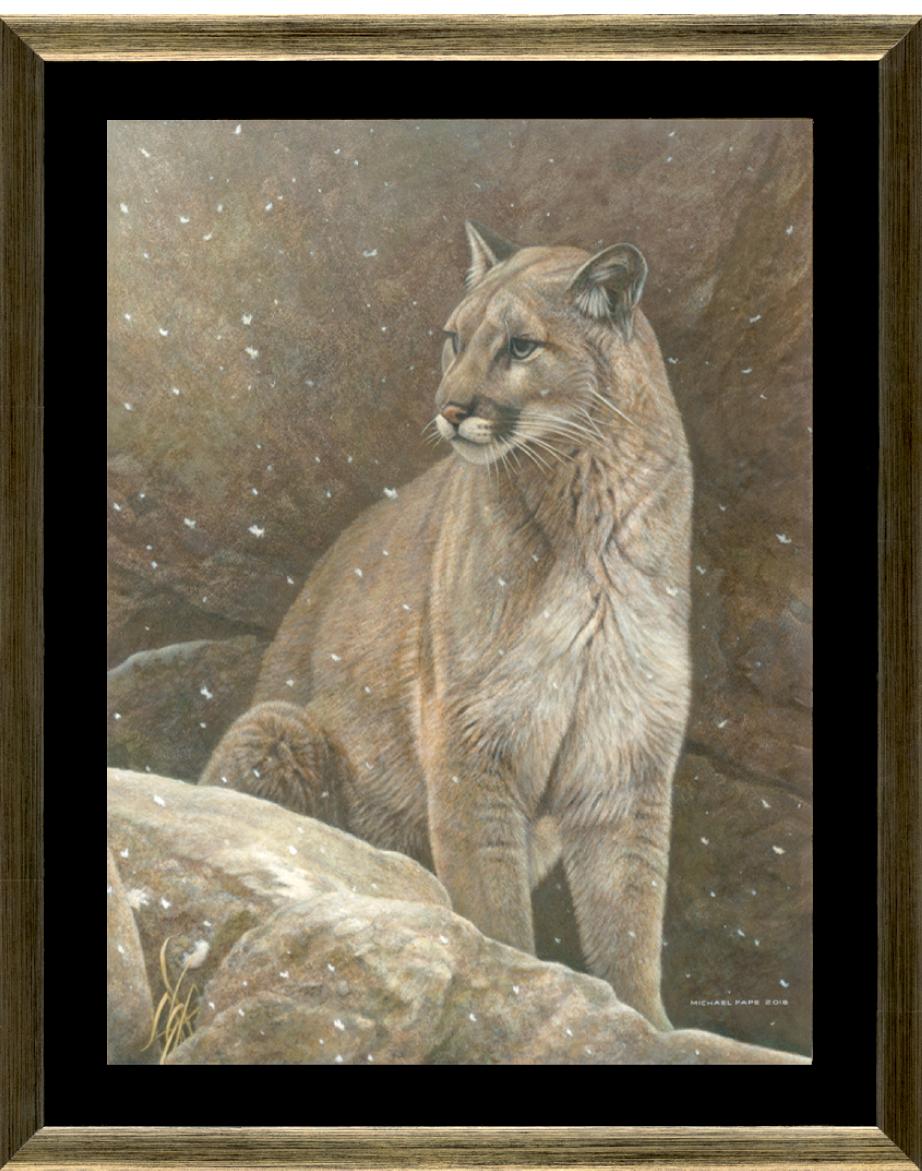 Order your limited edition of this canvas giclée limited edition print of this Cougar painting titled, Majestic Peace by Canadian Wildlife Artist Michael Pape.