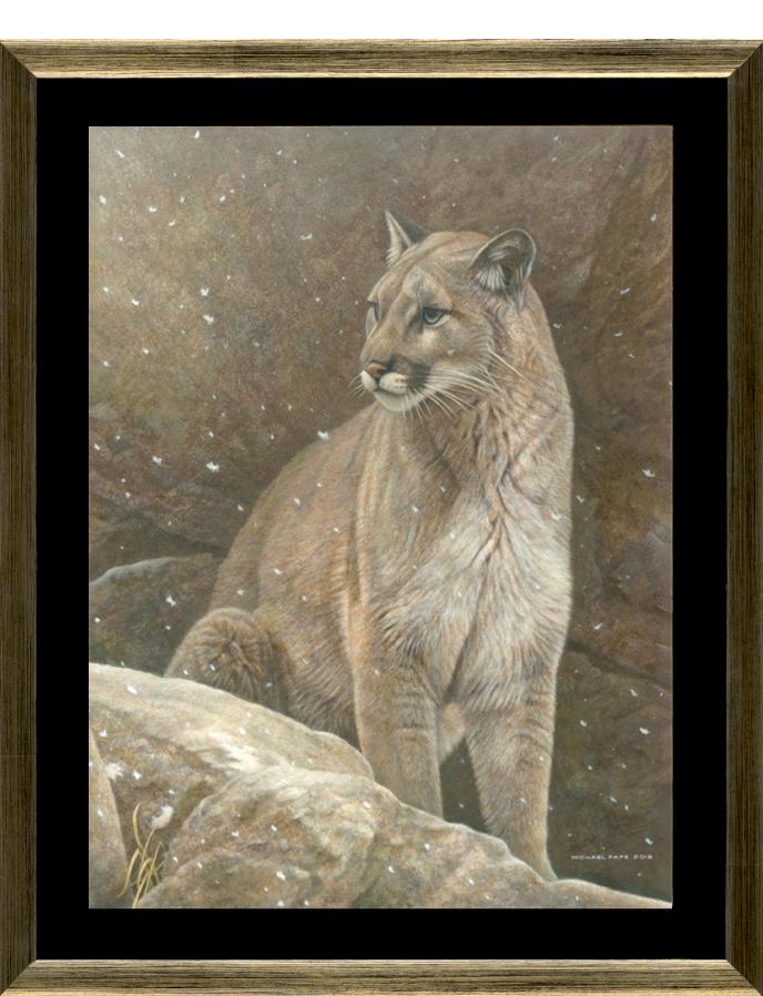 Order your limited edition of this canvas giclée limited edition print of this Cougar painting titled, Majestic Peace by Canadian Wildlife Artist Michael Pape.