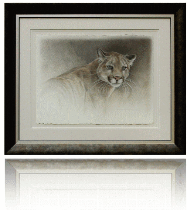 CougarStudy