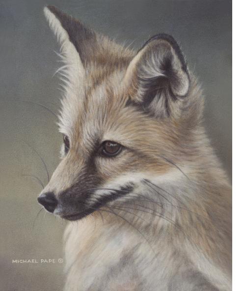 Red Fox Kit Study, original paining on masonite is sold. Limited edition giclée wildlife prints on water colour paper are available by Canadian wildlife artist Michael Pape.