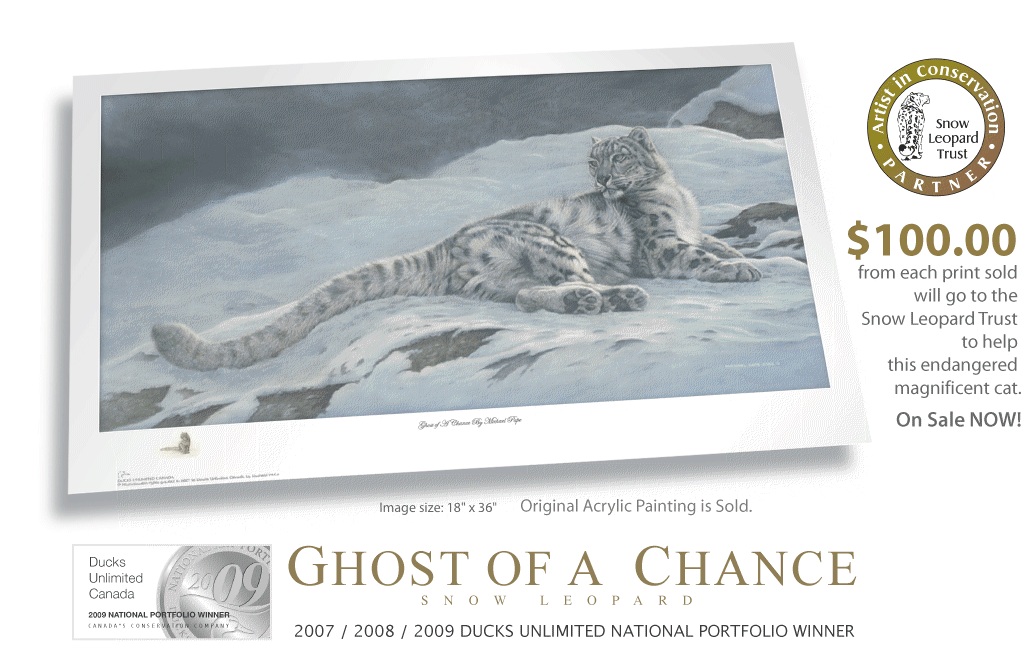 Michael Pape Ghost of a Chance Snow Leopard