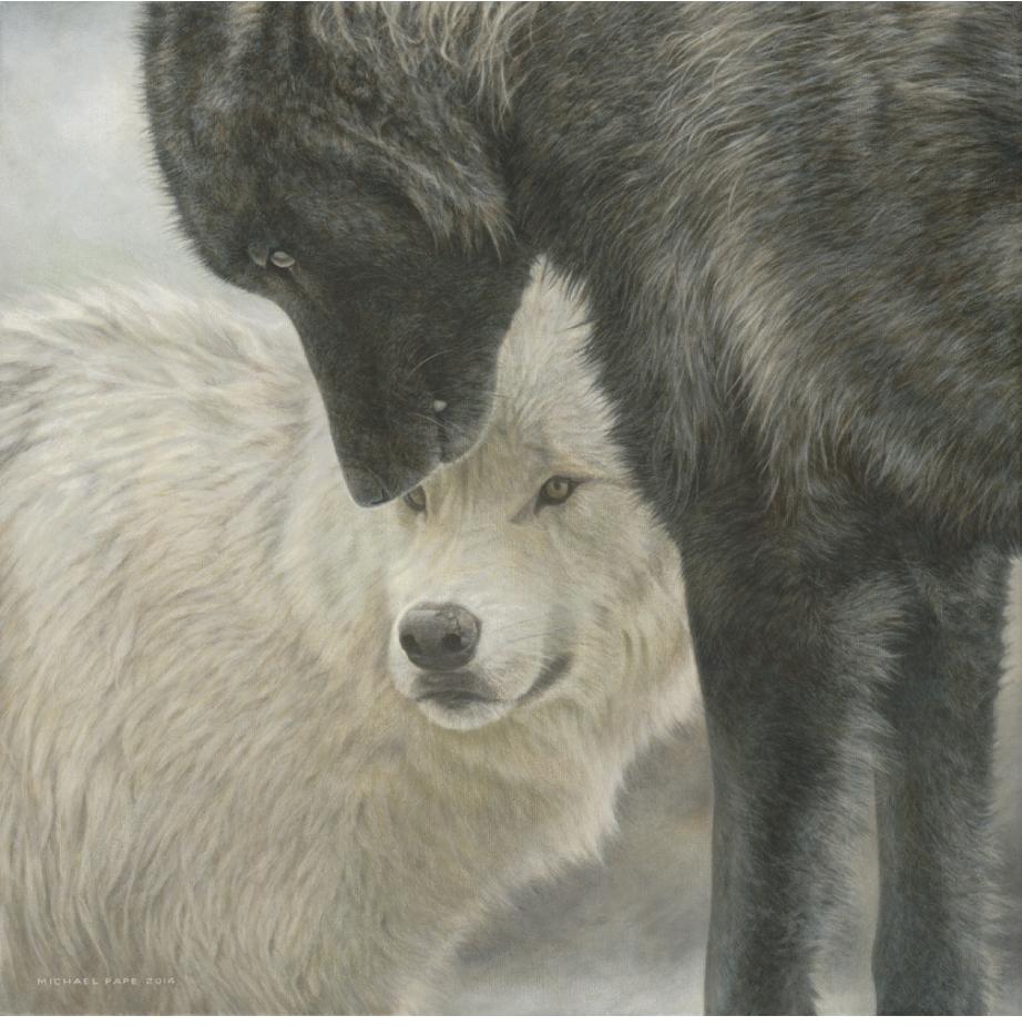 grey wolf painting