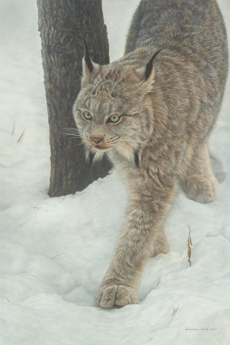Keeper of Secrets - Canadian Lynx, original acrylic on canvas wildlife painting is sold. Limited edition giclée wildlife prints on paper & canvas in three sizes are available by Canadian wildlife artist Michael Pape.
