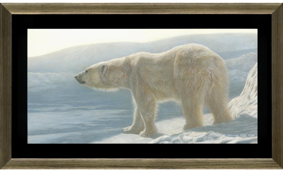Buy this original Polar Bear Painting and or limited edition prints or giclée limited edition print of the Polar Bear titled Into The Light by Canadian Wildlife Artist Michael Pape.