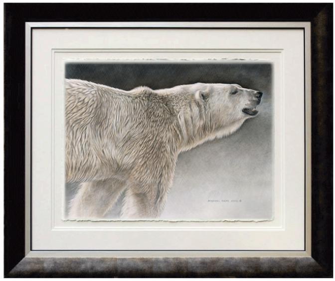 PolarBearStudyFramed