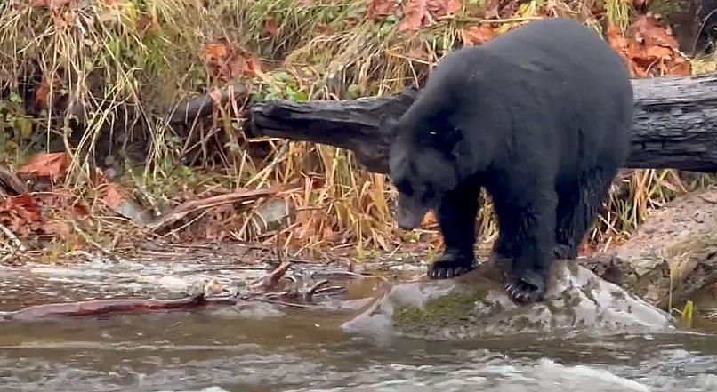 ScreenShot20251207at124618AM