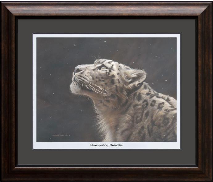 Silence Speaks – Snow Leopard, framed limited edition giclée wildlife prints are available in three sizes on water colour paper by Canadian wildlife artist Michael Pape. 