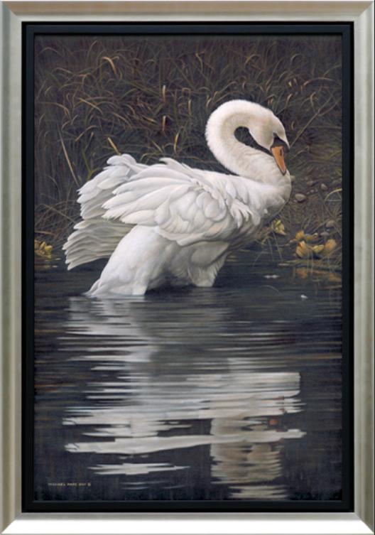 SwanCanvasFramed