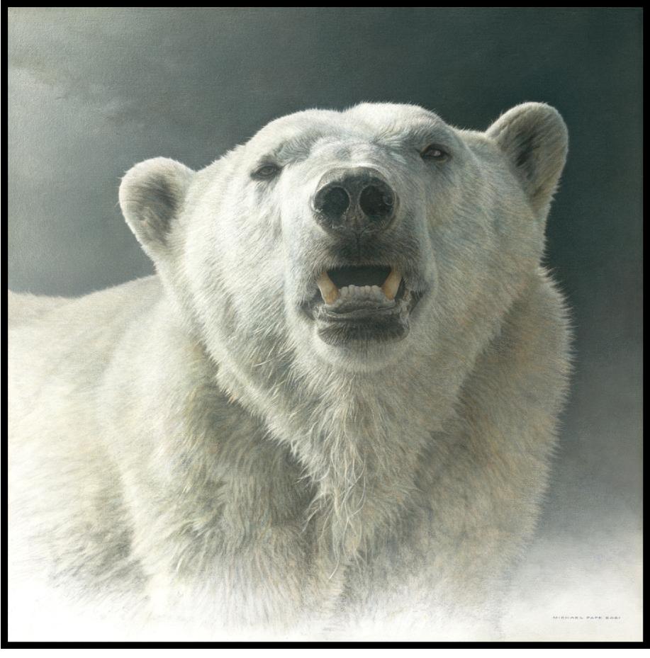 © Winds of Change - Polar Bear by Canadian Wildlife Artist Michael Pape. Purchase This Exclusive Original Polar Bear Wildlife Painting or Limited Edition Art Print Here Online. 