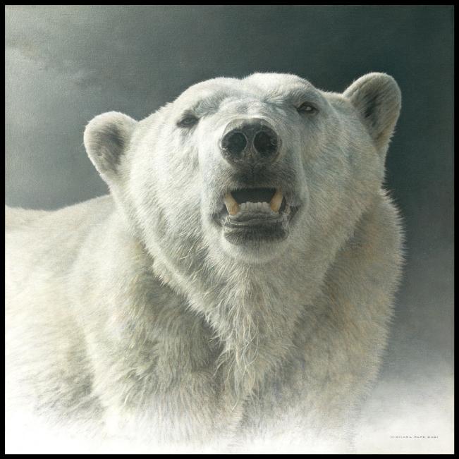 WindsofChangePolarBear4